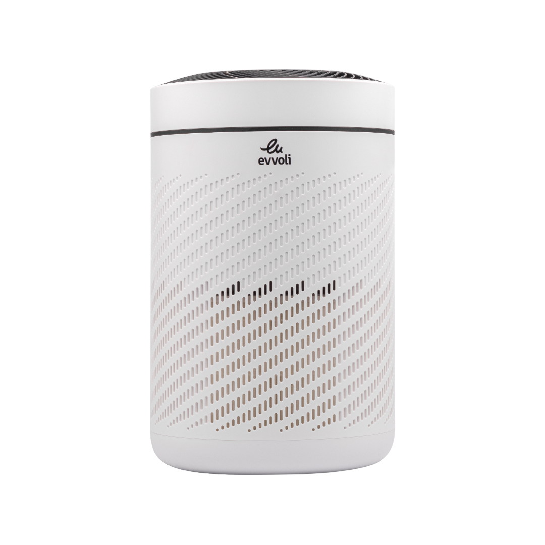 Evvoli Air Purifier With True HEPA filter For Home